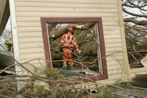 Best Seasonal Cleanup (Spring/Fall)  in Harvard, NE